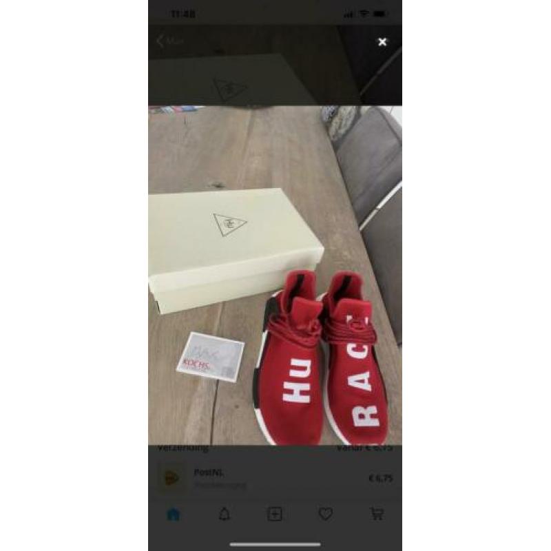 Human races rood 43 1/3