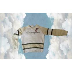 Champion trui s