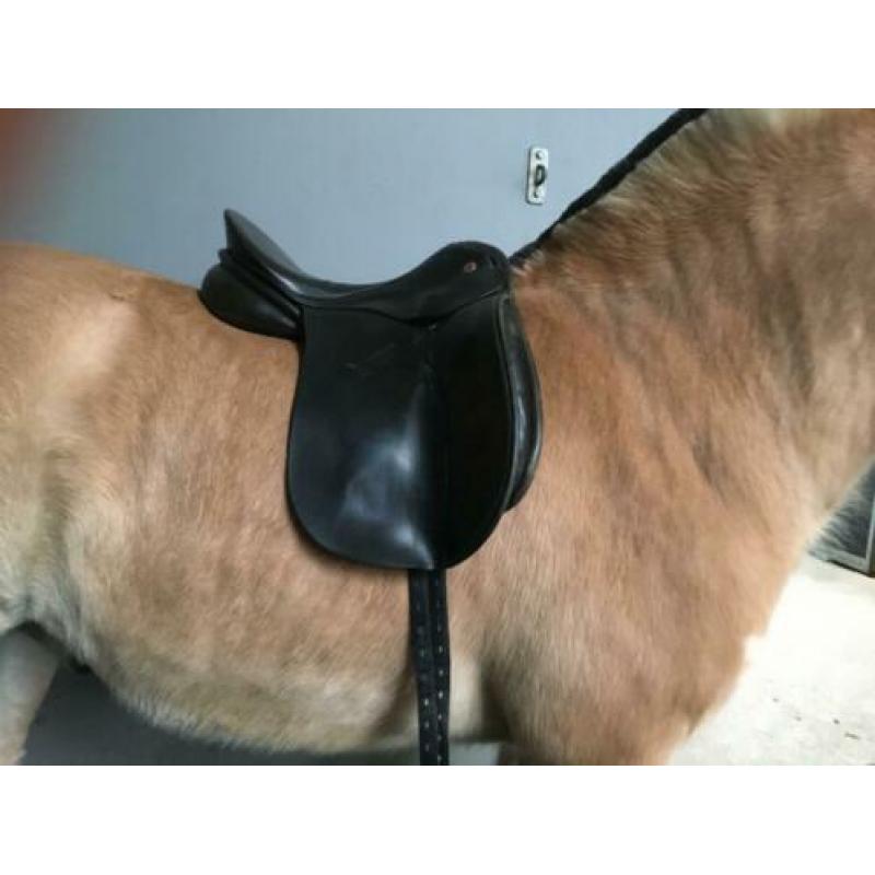 Kn allegro dressuur zadel 18inch zwart