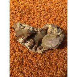 Mineralen