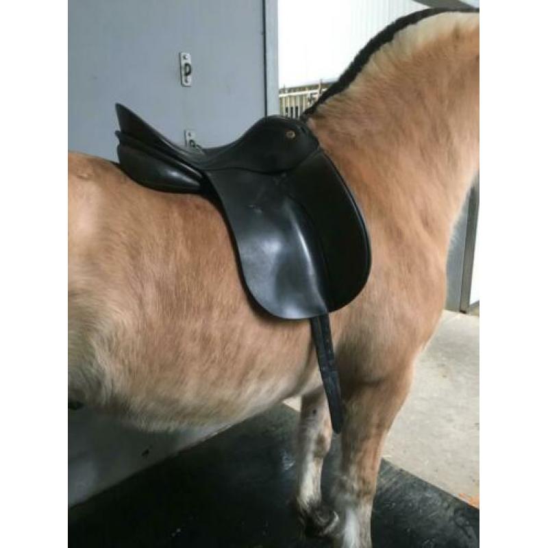 Kn allegro dressuur zadel 18inch zwart