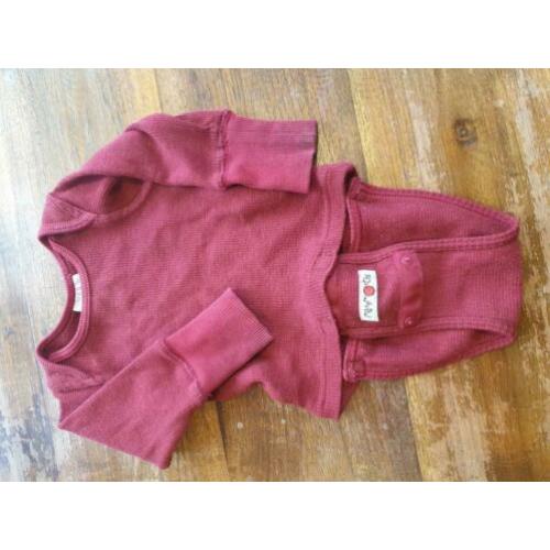 Many months romper/longsleeve charmer explorer
