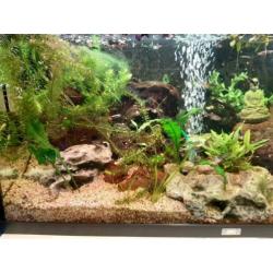 Juwel aqaurium 1m