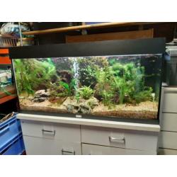 Juwel aqaurium 1m