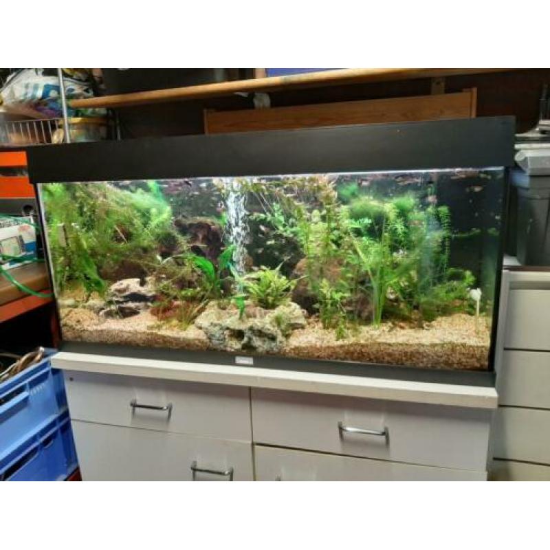 Juwel aqaurium 1m