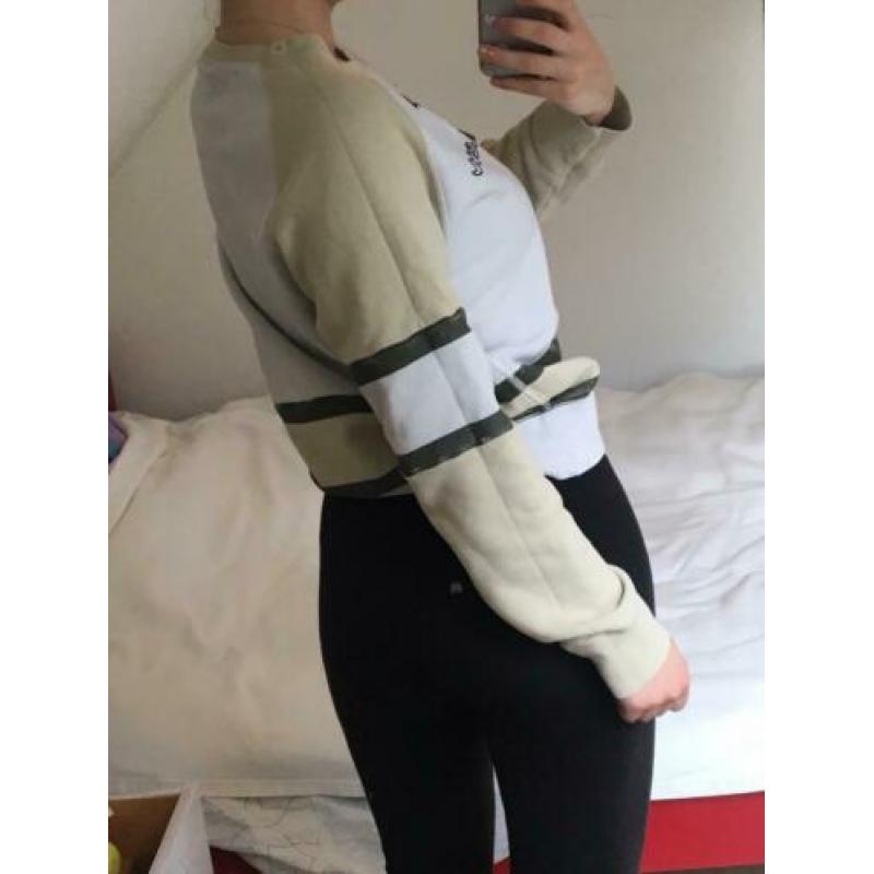 Champion trui s