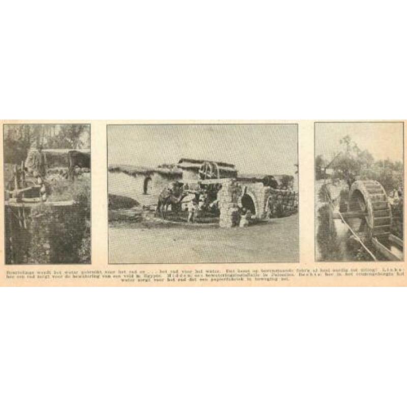 Egypte Palestina Reuzengebergte noria molen knipsel 1928