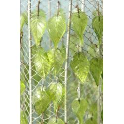Vintage windlichten met glazen blaadjes (2x)
