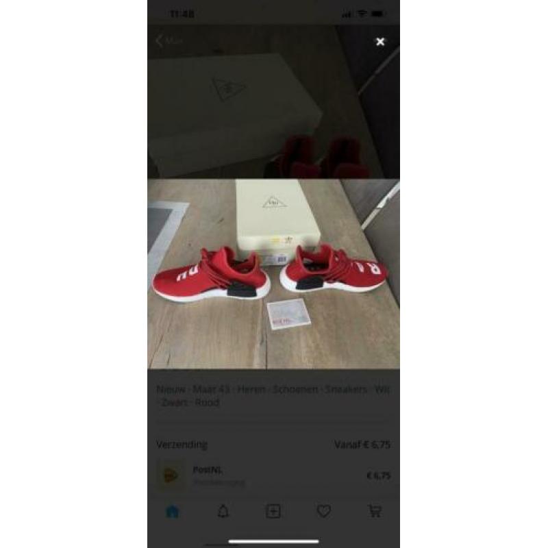 Human races rood 43 1/3