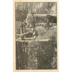 Egypte Palestina Reuzengebergte noria molen knipsel 1928