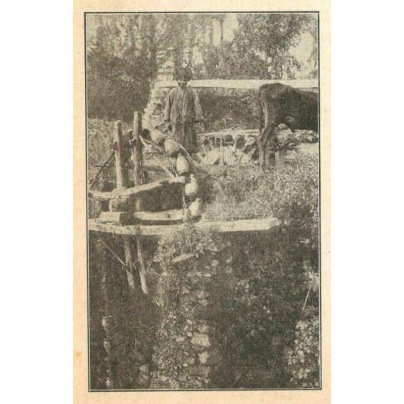 Egypte Palestina Reuzengebergte noria molen knipsel 1928