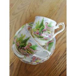Royal Albert and Villary&Boch