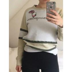 Champion trui s