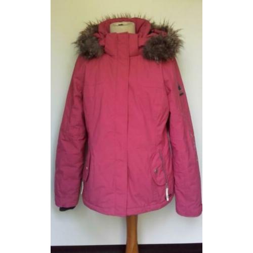 Jack van Gaastra - Mt Large