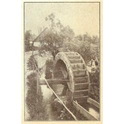 Egypte Palestina Reuzengebergte noria molen knipsel 1928