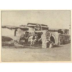 Egypte Palestina Reuzengebergte noria molen knipsel 1928