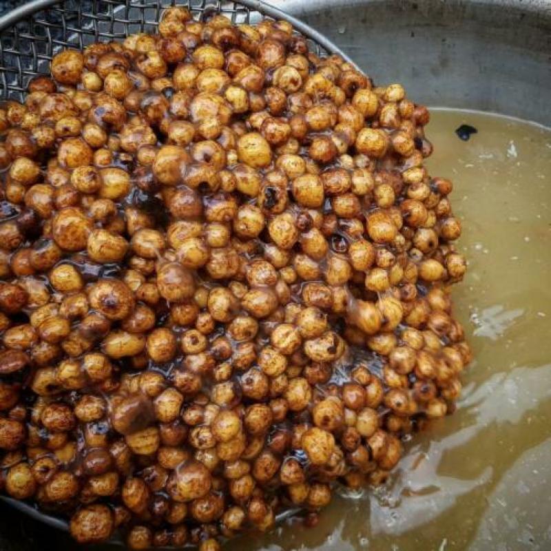 Vers gekookte Tijgernoten 5kg