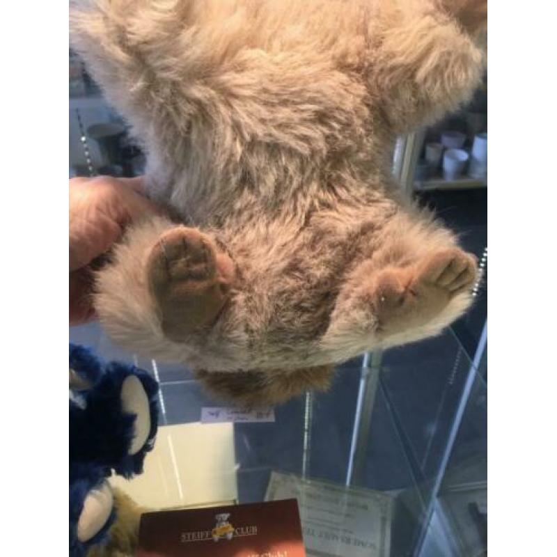 Steiff beer bever