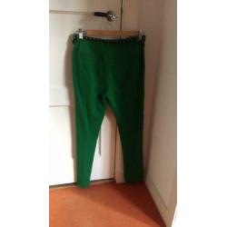 Groene broek Maison Scotch maat P (=36) van joggingstof