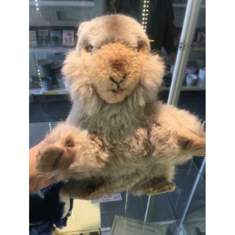 Steiff beer bever