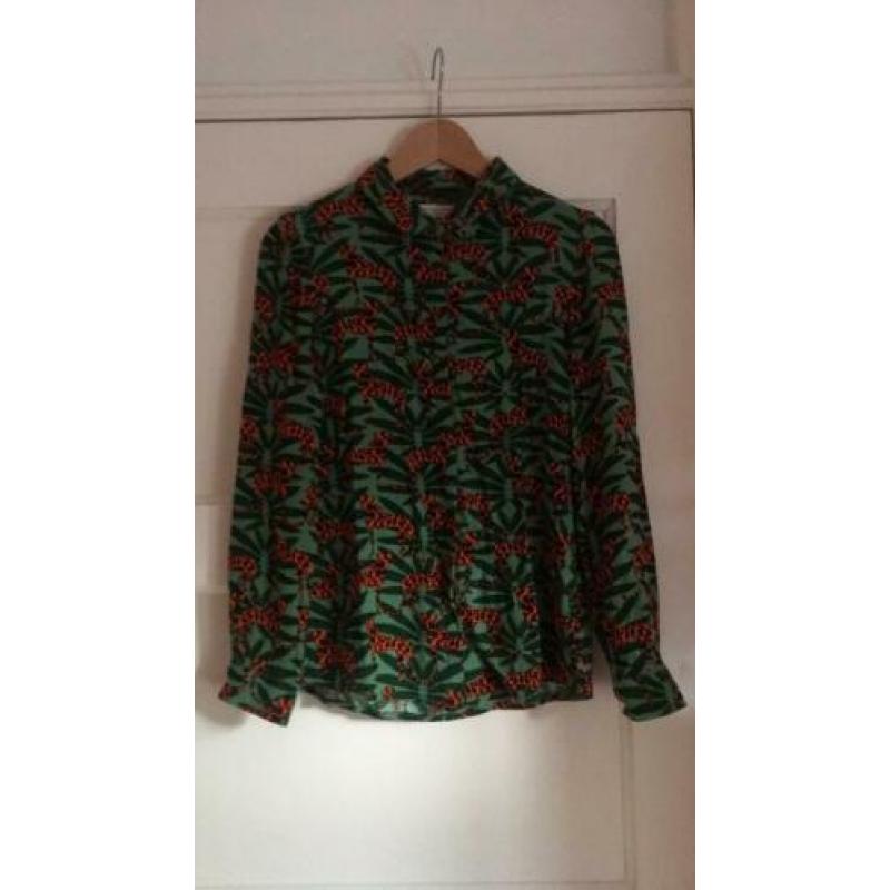 Groene broek Maison Scotch maat P (=36) van joggingstof
