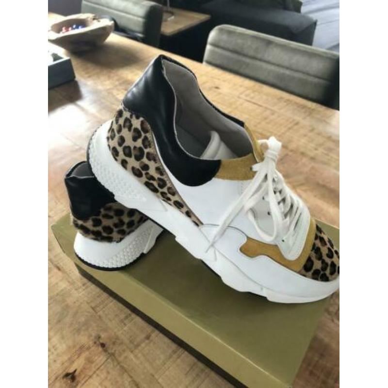 Nieuwe Roberto d’angelo sneakers maat 40