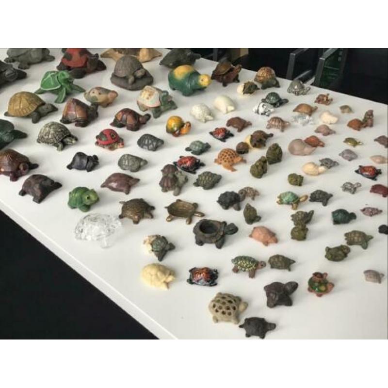 Schildpadden