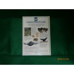 Vogels over de vloer, Robert Burton