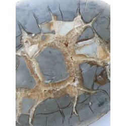 Te koop: Grote, halve Septari bol, 8 kg.31/24 cm.