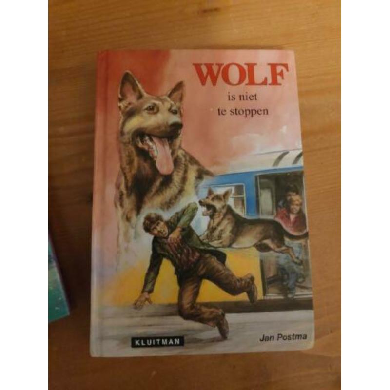 4 boeken van Wolf (Jan Postma) politie/spannend