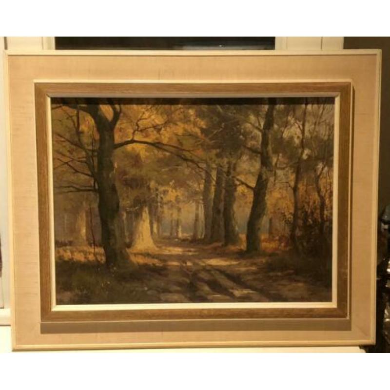 W.J. Alberts - boslandschap