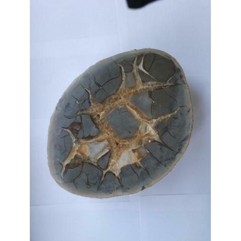 Te koop: Grote, halve Septari bol, 8 kg.31/24 cm.