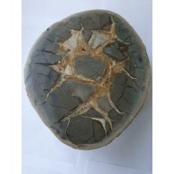Te koop: Grote, halve Septari bol, 8 kg.31/24 cm.