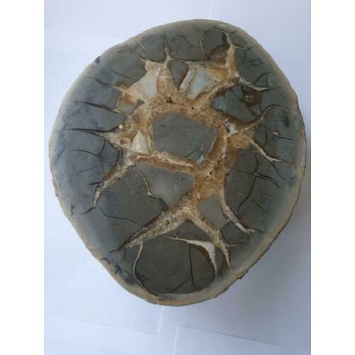 Te koop: Grote, halve Septari bol, 8 kg.31/24 cm.