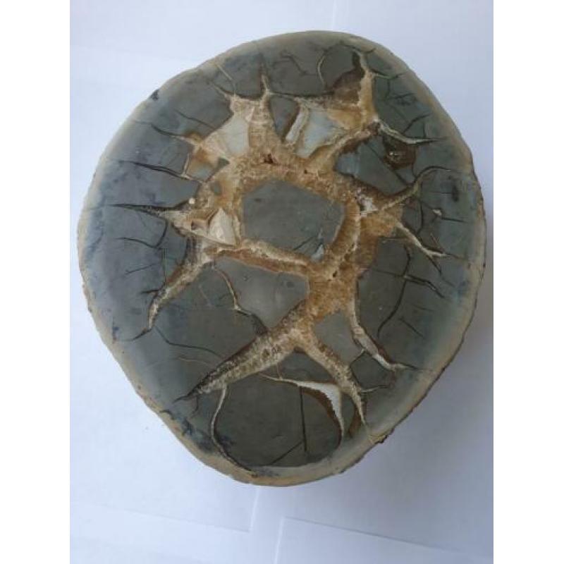 Te koop: Grote, halve Septari bol, 8 kg.31/24 cm.