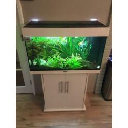 Juwel 125 aquarium wit met onderkast
