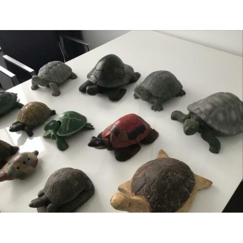 Schildpadden