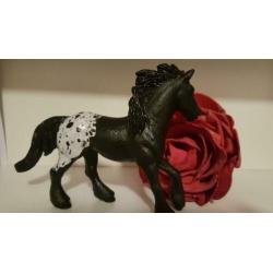 Apaloosa repaint op friese merrie