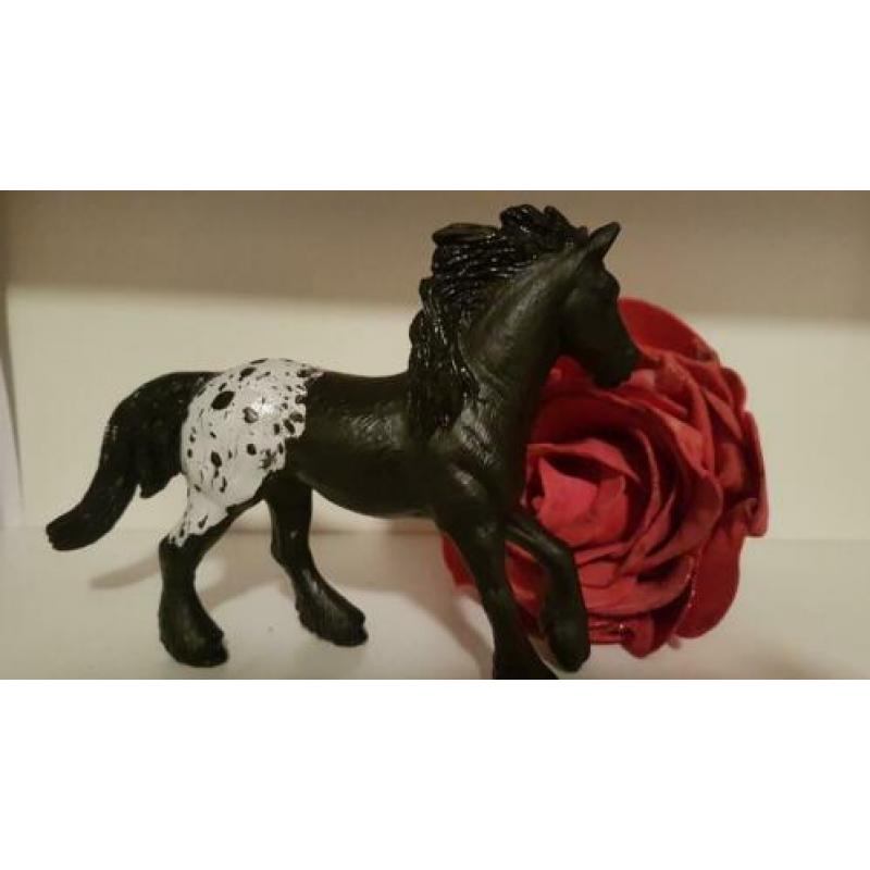 Apaloosa repaint op friese merrie