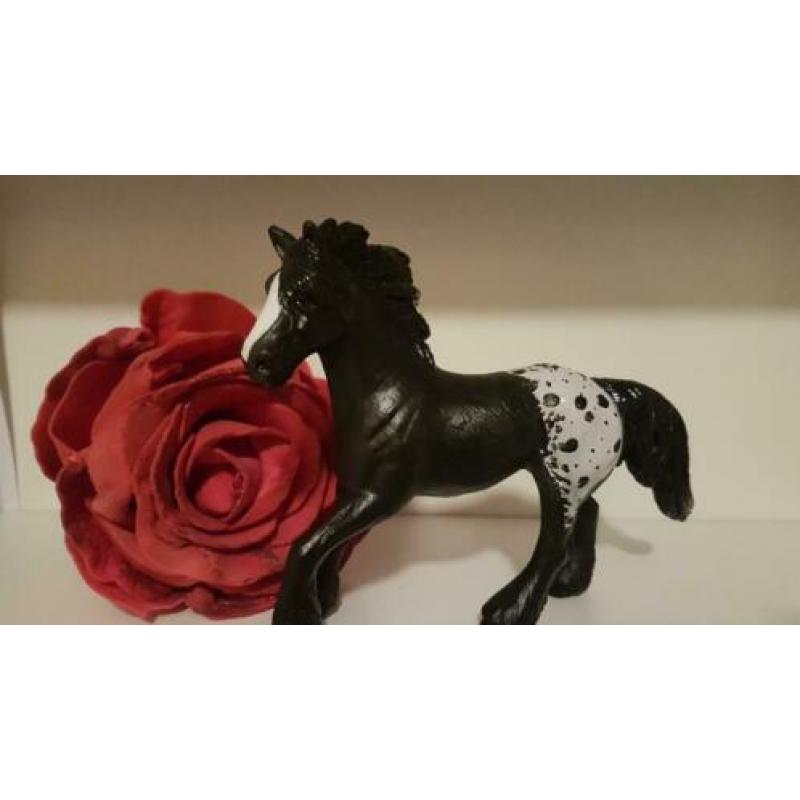 Apaloosa repaint op friese merrie