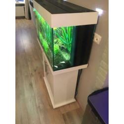 Juwel 125 aquarium wit met onderkast