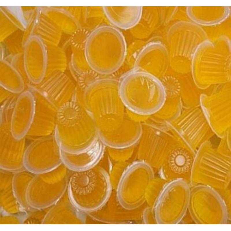 Livebait Fruitkuipjes