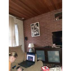 Kamer te huur voor