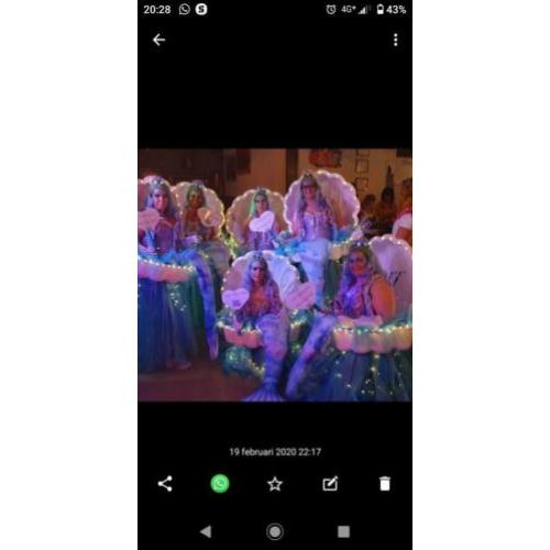 Carnavals groep 6 stuks zeemeerminnen