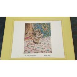 BeatrixPotter Placemets