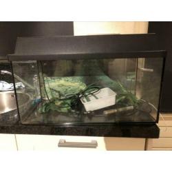 Aquarium + toebehoren