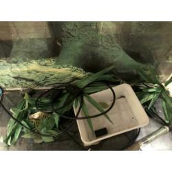 Aquarium + toebehoren