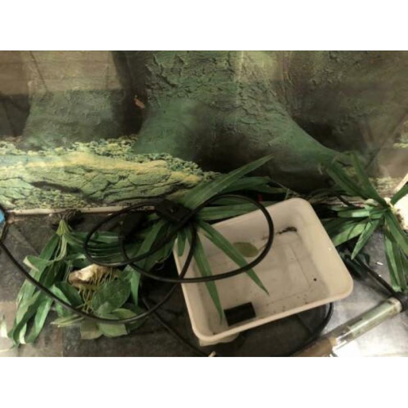 Aquarium + toebehoren