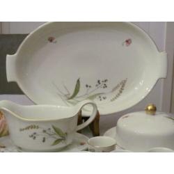 Porzellanfabrik Bayern Arzberg Servies Vlinder / Aren