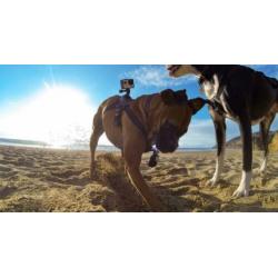 GoPro Dog Harness Fetch UITVERKOOP!!